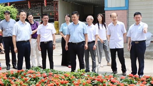 自治區政協(xié)常委、梧州市政協(xié)主席黃振饒蒞臨百裕集團走訪(fǎng)調研